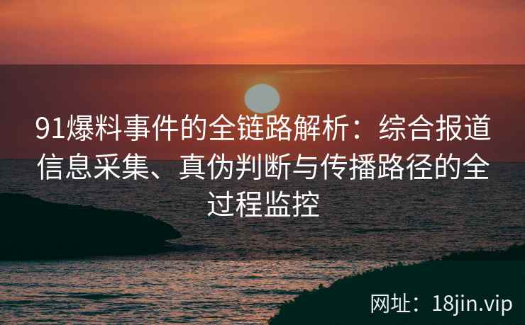 91爆料事件的全链路解析：综合报道信息采集、真伪判断与传播路径的全过程监控